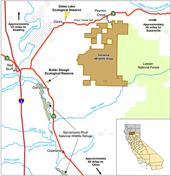 Tehama Wildlife Area