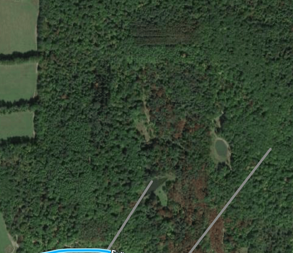Hunting land available in Steuben Co.