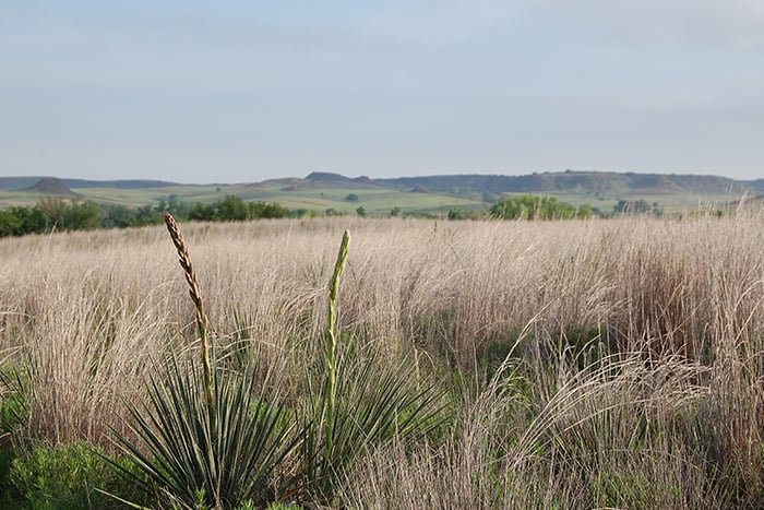 Washita NWR