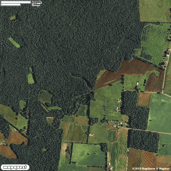 MINGO SWAMP
