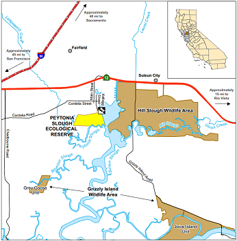 Peytonia Slough Ecological Reserve