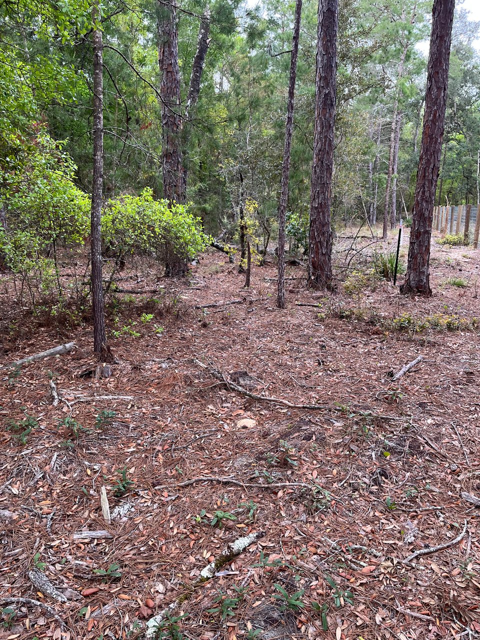 42 acres in Putnam Co. for lease