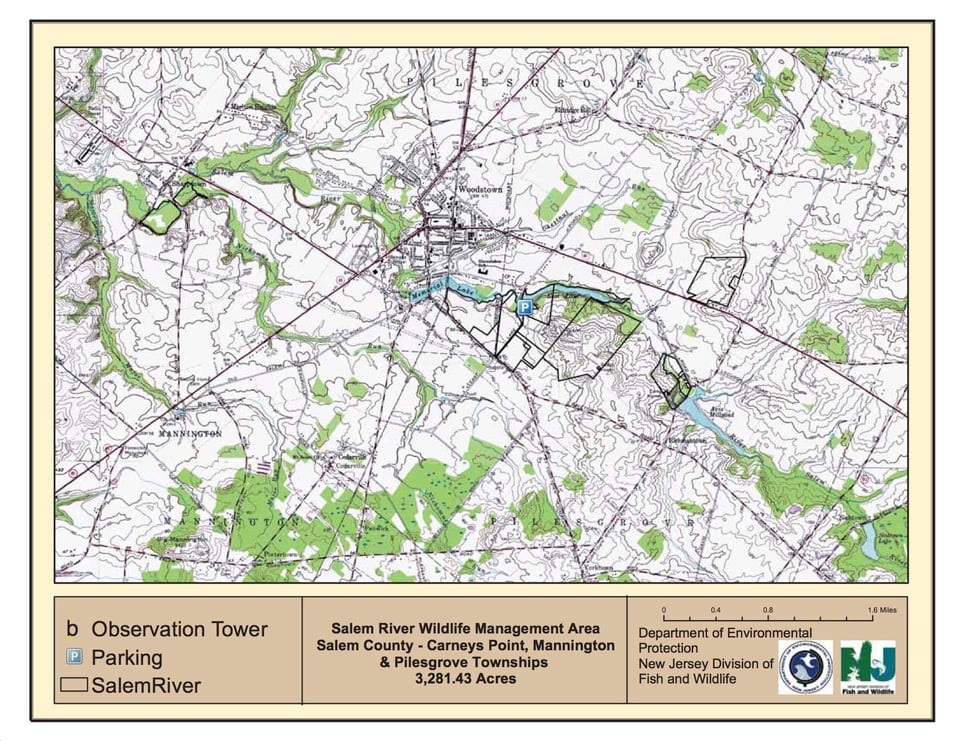 Salem River Wildlife Management Area - Woodstown