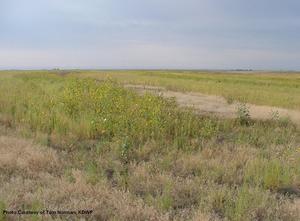 Greeley Wildlife Area
