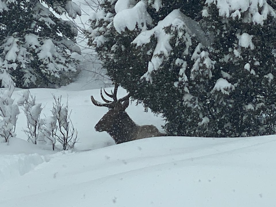 Hunting land in Colorado