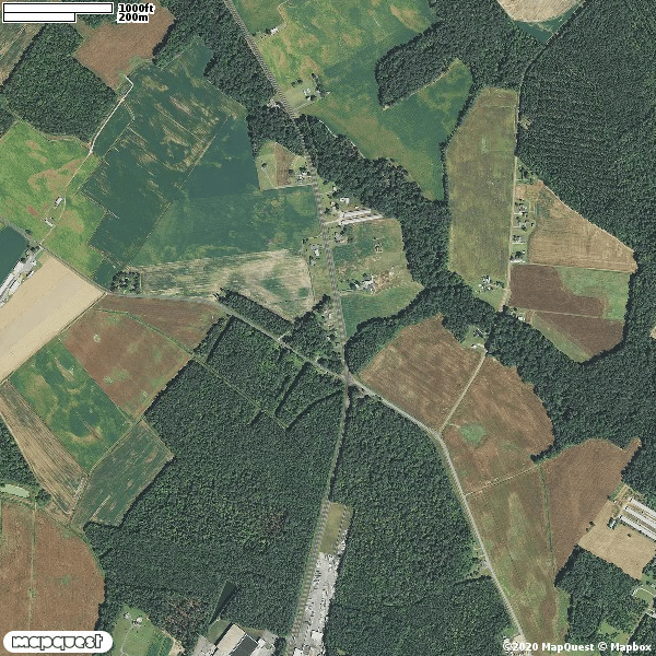 Hunting land available in Caroline Co.