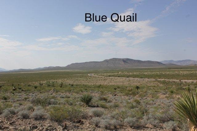 Sierra Blanca  hunting land for lease