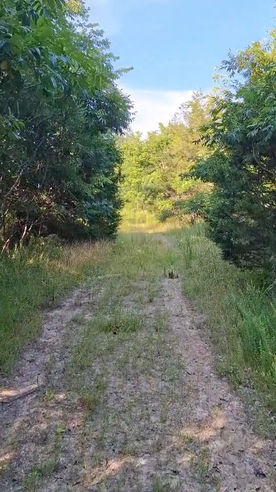 Hunting land available in Butler Co.