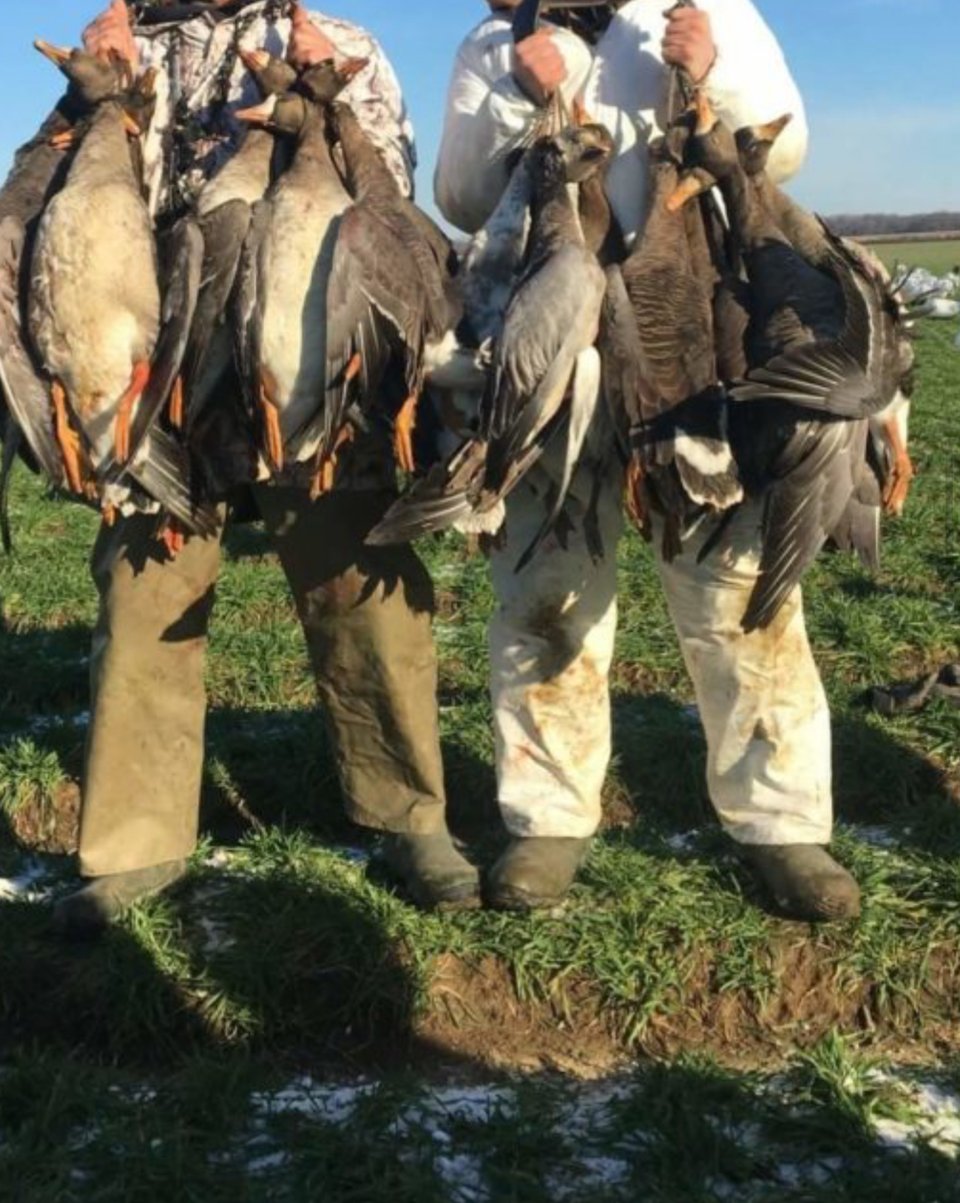 Arkansas county hunting land