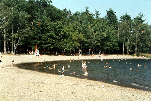 Swan Lake State Park