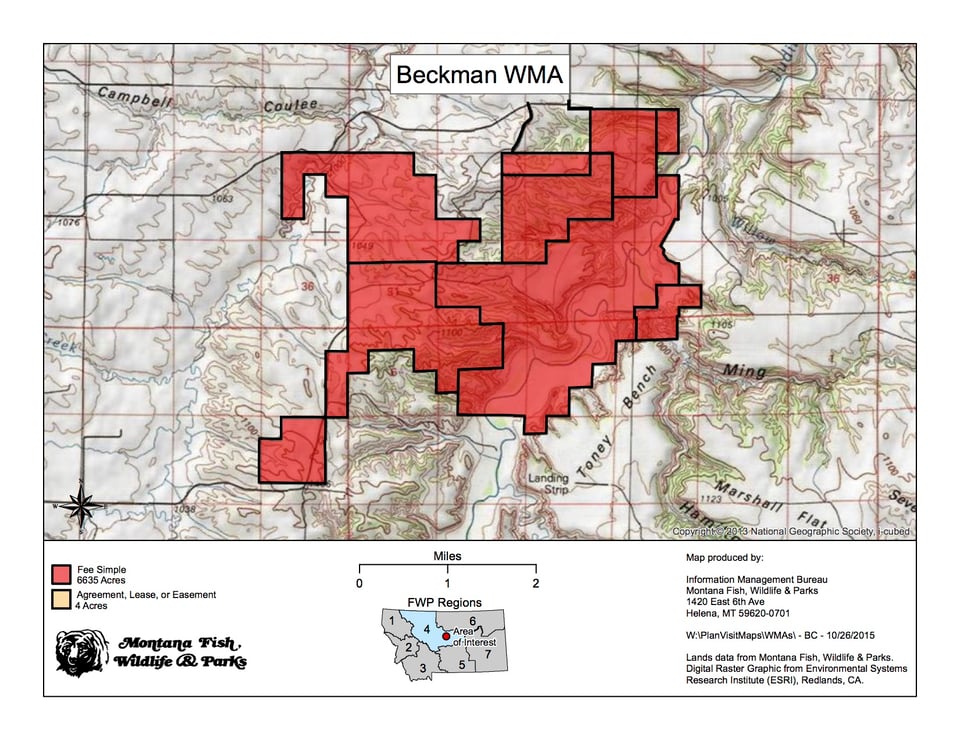 Beckman WMA