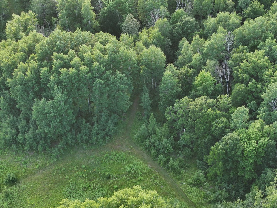 Hunting land in Minnesota