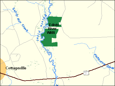 Edisto River Wildlife Management Area