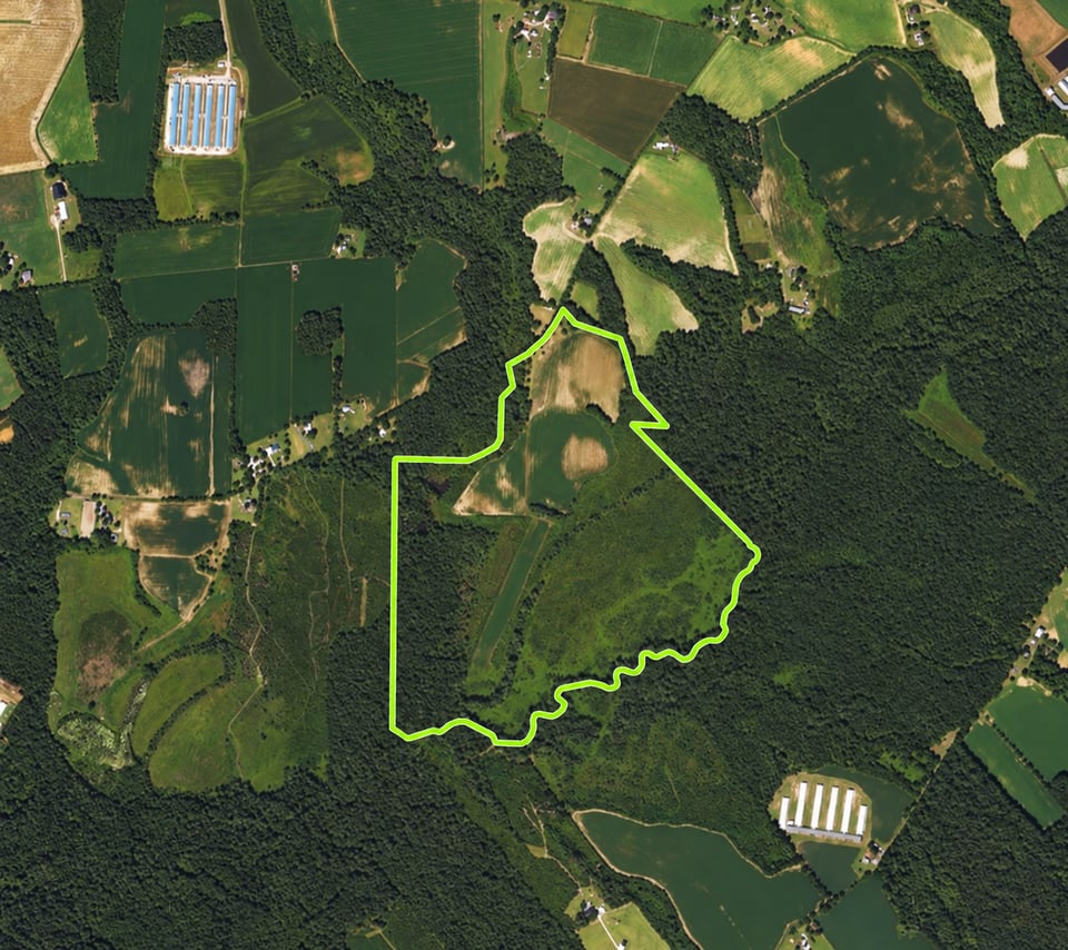 Hunting land - 60 acres, Metropolis, Illinois