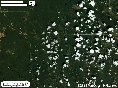 Seney Manistique Swamp