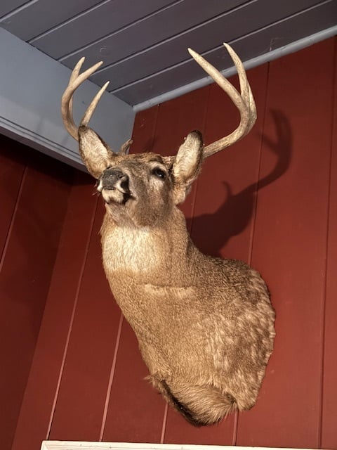 Available 162 acres Lansing, Iowa Lodging Available!
