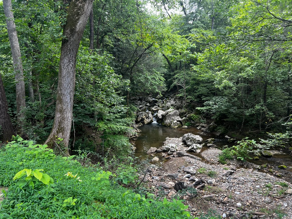 Great opportunity Botetourt, Virginia - Season 2026