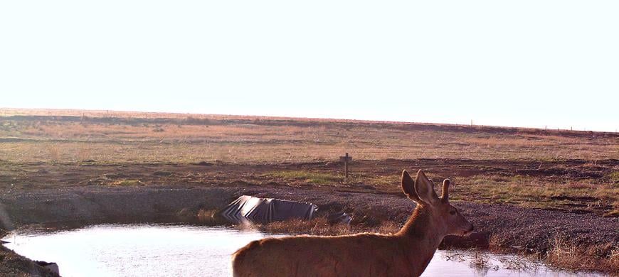 Kepley Wildlife Area