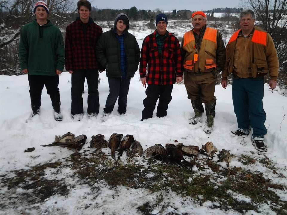 Pheasant Hunting & All Hunts