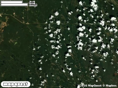 Seney Manistique Swamp