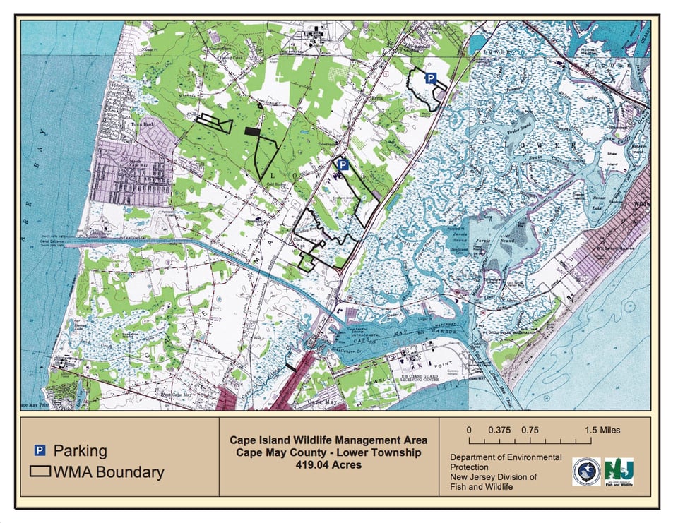 Cape Island Wildlife Management Area - South