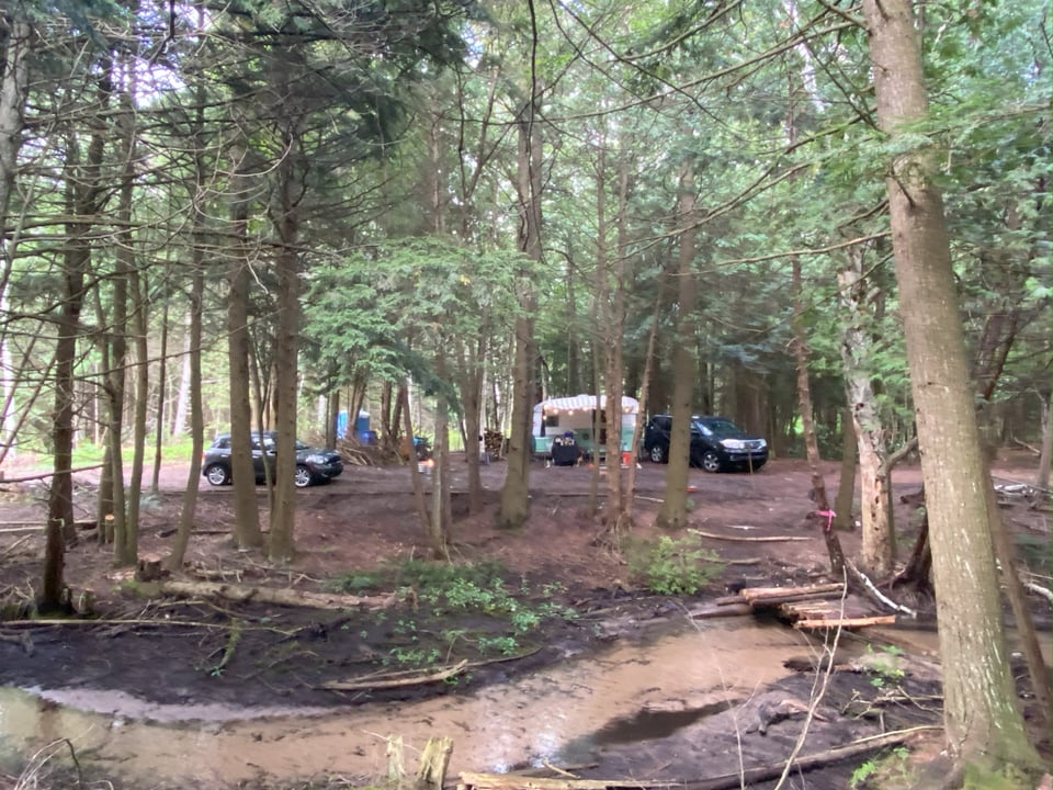 Available 5 acres Frankfort, Michigan - Cedar Swamp, Hardwoods, Stream