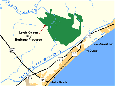 Lewis Ocean Bay Heritage Preserve/Wildlife Management Area