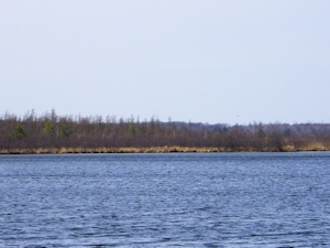 Yellow Lake Statewide Habitat Area