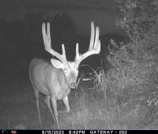 Hunting land available in Pike Co.
