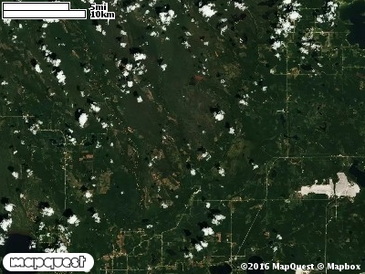 Seney Manistique Swamp