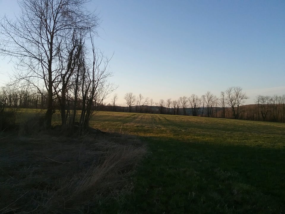 Lyonshill Farm