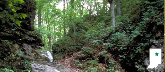 SALAMONIE RIVER STATE FOREST
