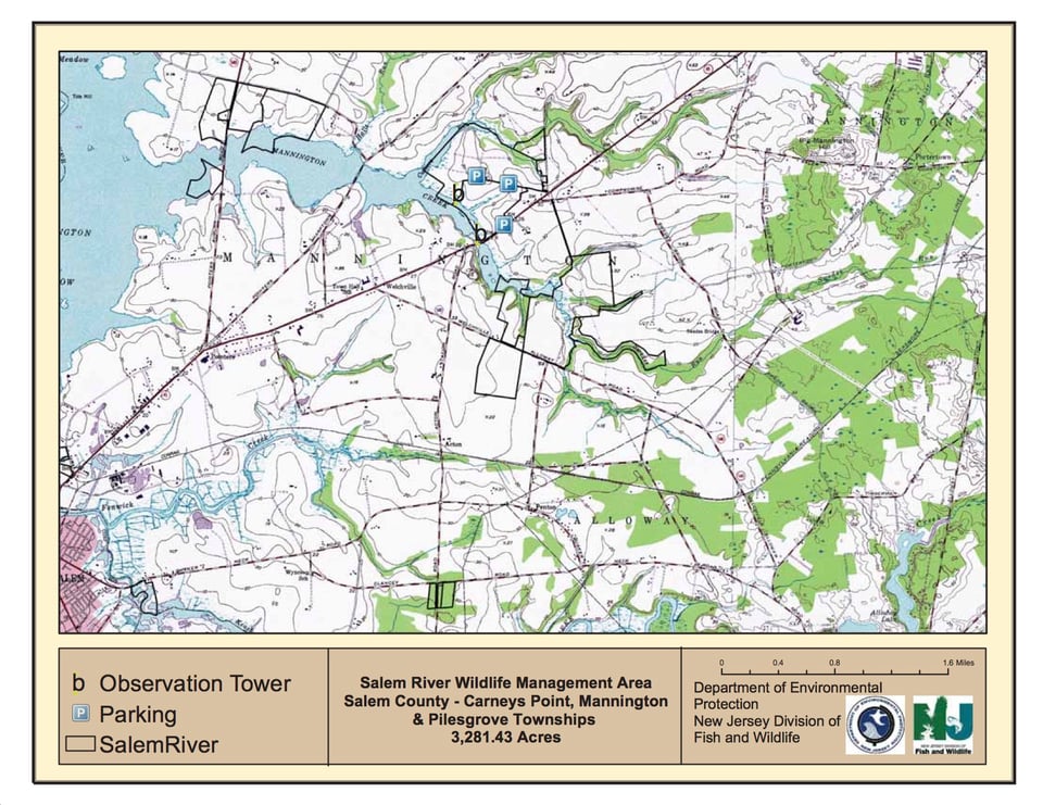 Salem River Wildlife Management Area - Mannington East