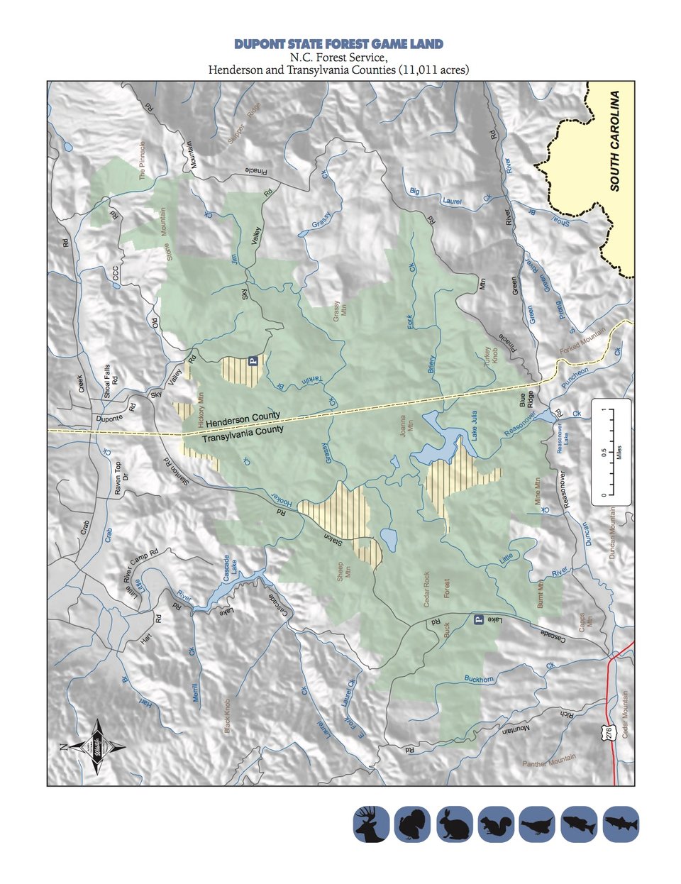 Dupont State Forest Game Land