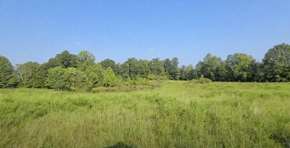 Elizabethtown, Kentucky hunting land