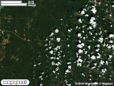 Seney Manistique Swamp