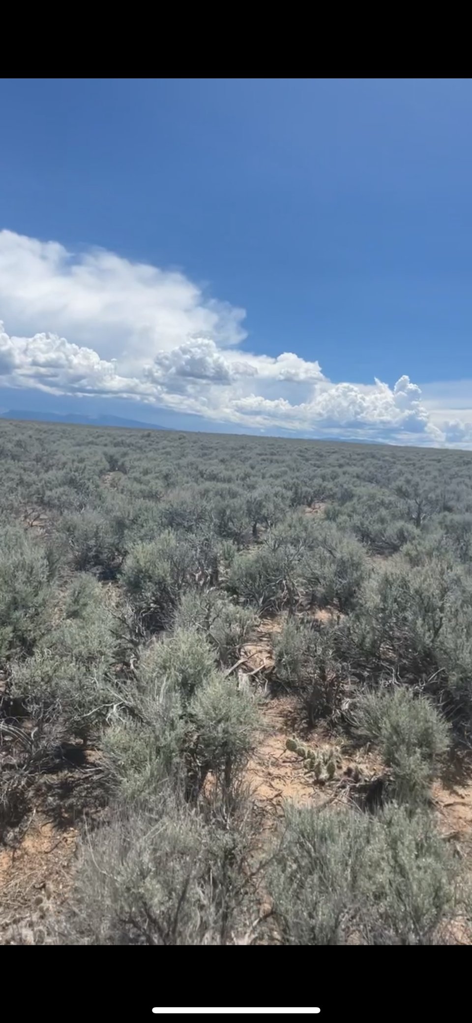 4.89 acres in Costilla Co. for lease
