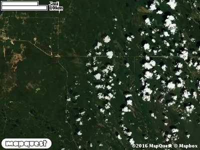 Seney Manistique Swamp
