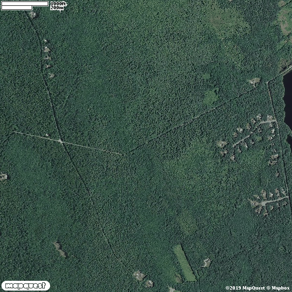 Copicut  WILDLIFE MANAGEMENT AREA