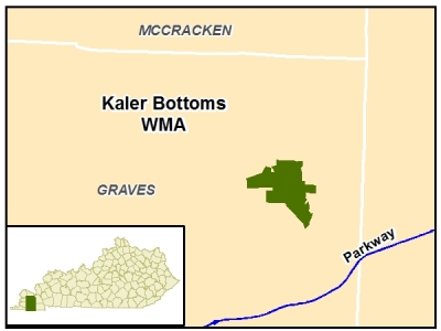 Kaler Bottoms WMA