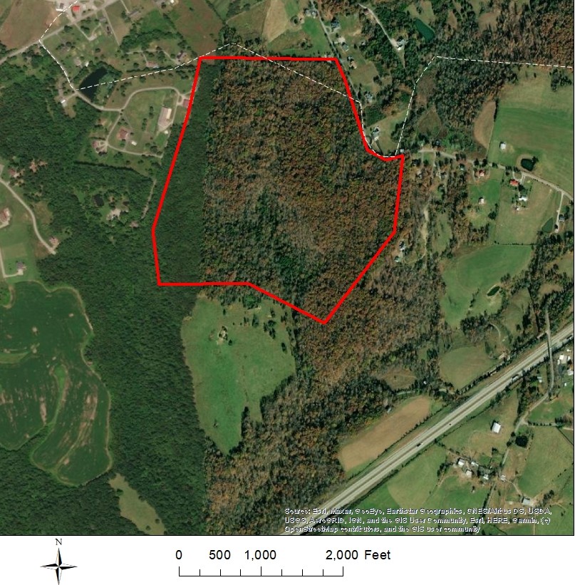 Excellent hunting opportunity Grayson, Kentucky