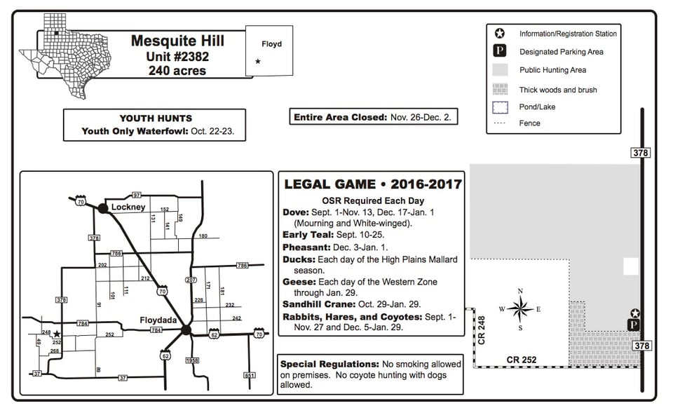 Mesquite Hill