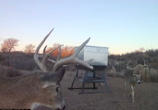 Prime hunting property in Texas county Oklahoma (Panhandle) $18,500