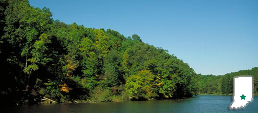 Morgan-Monroe State Forest