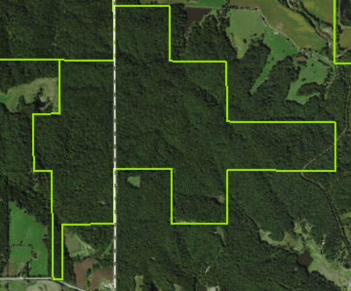STEPHENS STATE FOREST - UNIONVILLE UNIT
