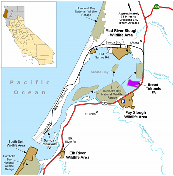 Mad River Slough Wildlife Area