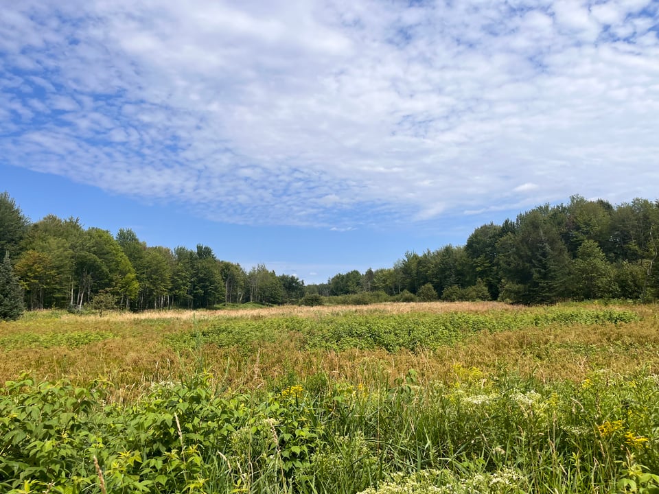Deerbrook, Wisconsin hunting land