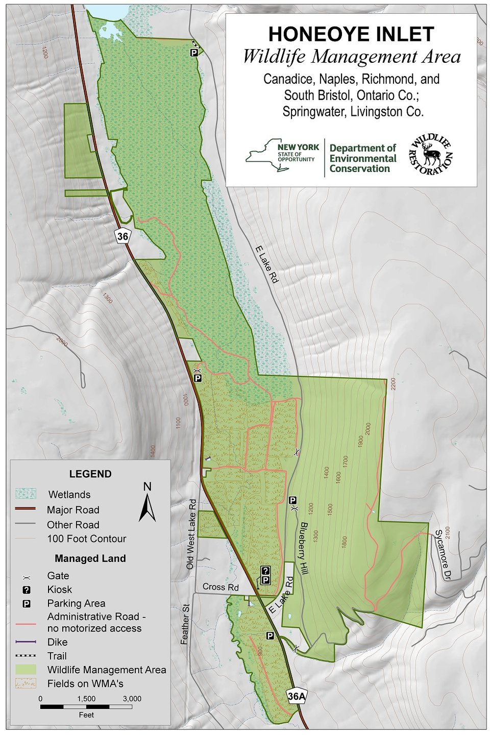 Honeoye Inlet Wildlife Management Area