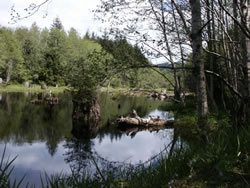 Peterman Ridge Unit