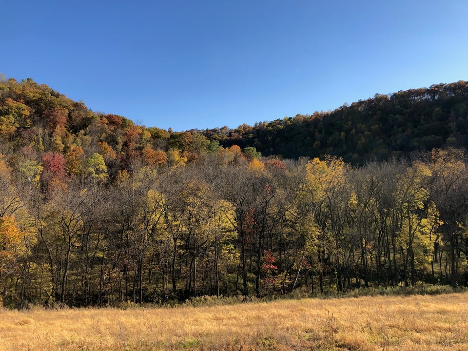 170 acres, Wisconsin Driftless Region